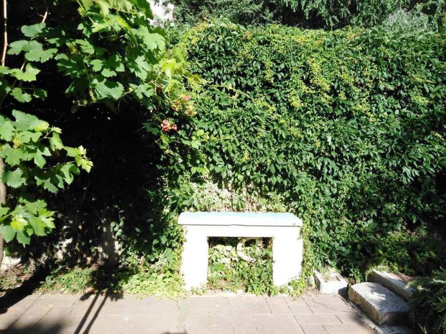 Emaus Garden - Center & 2 Bth Apartament
