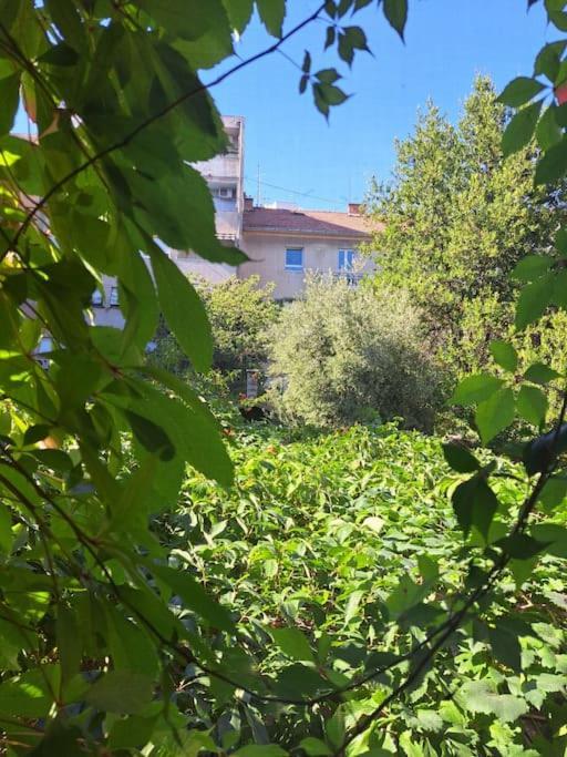Emaus Garden - Center & 2 Bth Apartament