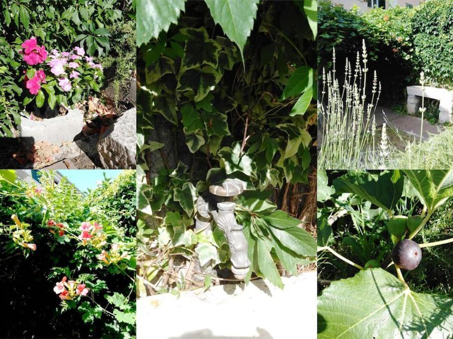 Emaus Garden - Center & 2 Bth Lägenhet *